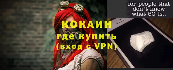 mdpv Каменногорск