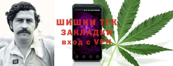 mdpv Каменногорск
