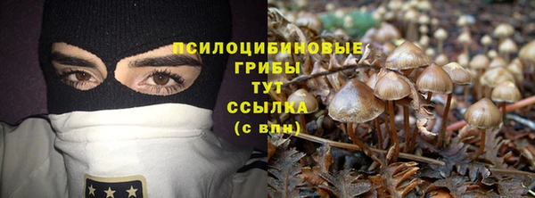 apvp Карталы
