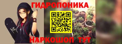 гидропоника Гусев