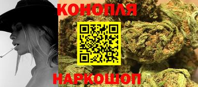 гидропоника Гусев