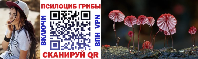 Галлюциногенные грибы Psilocybe  Новороссийск 