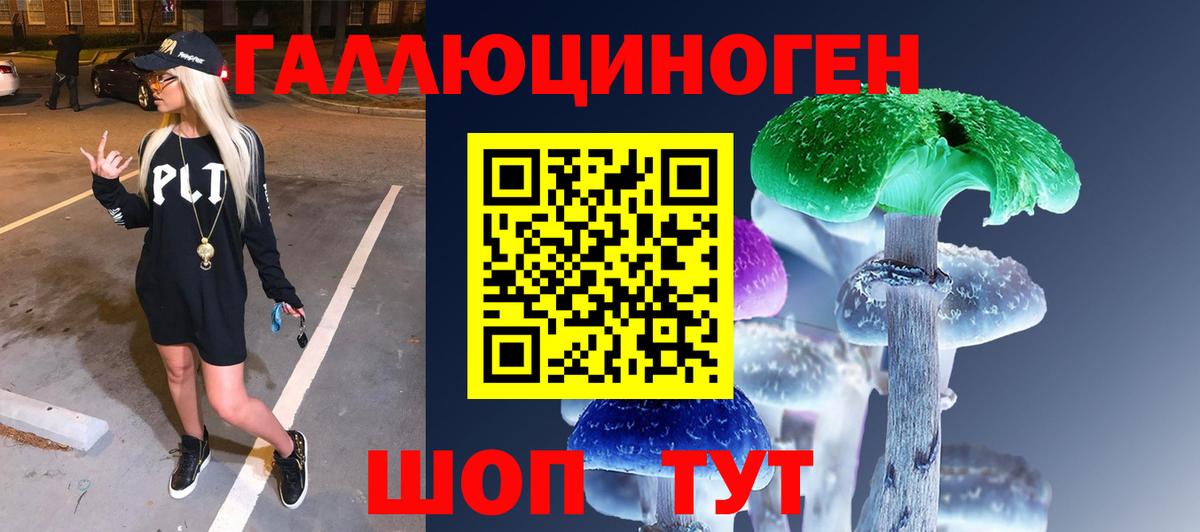 Псилоцибиновые грибы Psilocybine cubensis  где найти   Псилоцибиновые грибы мицелий  Новороссийск  Вход с VPN 