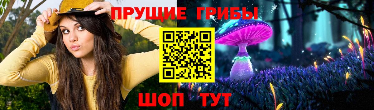 Галлюциногенные грибы Magic Shrooms Новороссийск